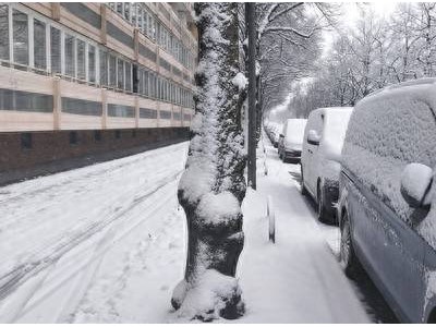 雪天行车失控别慌神！死踩刹车险象生 松开刹车才是保命招