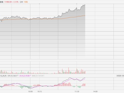 生猪主力合约拉升涨超3%