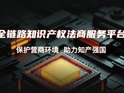 2026年电商打假维权服务商信息汇总：知优云服务模式与品牌选择要点解析