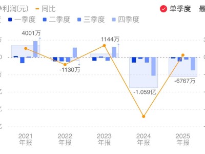 法尔胜：2025年净亏损6767.31万元