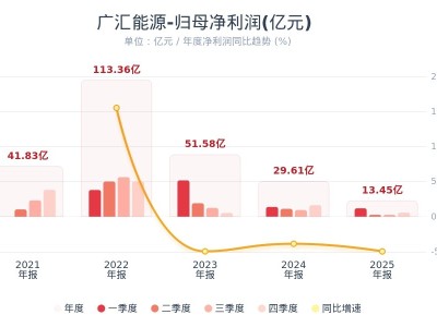 广汇能源：2025年度净利润13.45亿元 同比下降54.46%