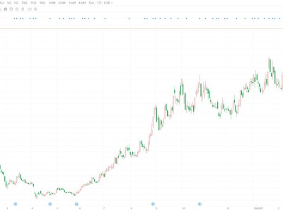 深南电路创历史新高 股价站上310元 市值超2100亿