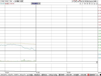 CPO龙头一季度业绩“爆冷”，还能相信“光”吗？