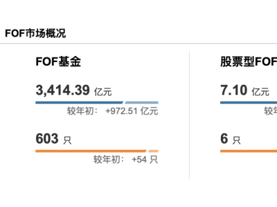 专业买手FOF基金，扫货这些ETF！