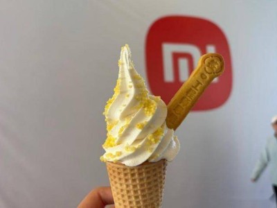 雷军车展“送冰”被拦：戳中规则盲区，折射真诚公关与弹性管理之思