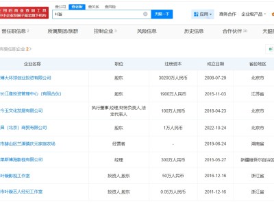 叶璇名下多家企业被吊销或注销