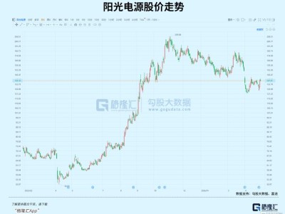 连续两季下滑，光储一哥怎么了？