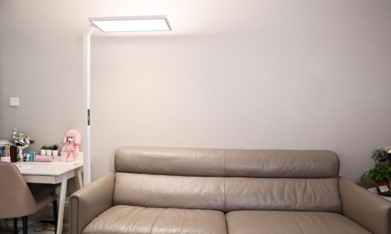 房间的沙发上 中度可信度描述已自动生成