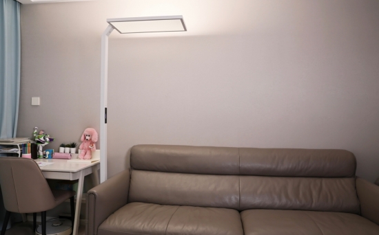 房间里的沙发 中度可信度描述已自动生成