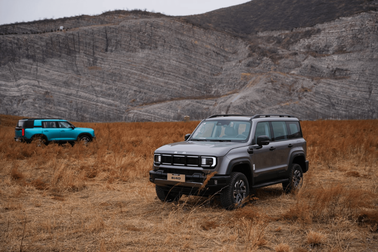 快手24小时下单平台，最低价保证，你真的找到最优惠了吗？