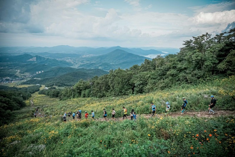点击查看原始图片