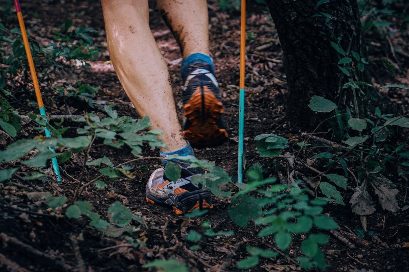 点击查看原始图片